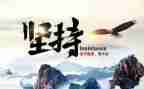 坚持和梦想作文精选5篇