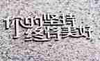 有关坚持的高考作文8篇