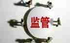 乡镇监督工作计划5篇