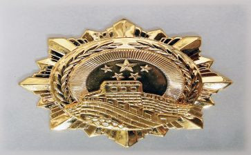 五四青年奖章获得者晋鹏事迹5篇