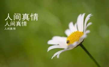 让自然真情流露作文通用8篇