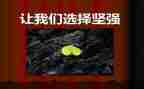 坚强乐观的作文5篇