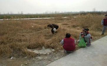 捡拾的作文800字6篇