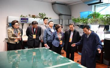村监委l会述职报告8篇