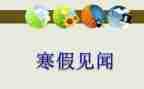 春节见闻200字作文7篇