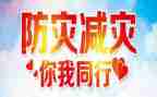 乡镇减灾防灾日活动总结5篇