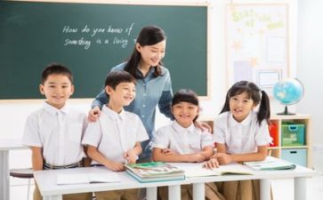教师编的个人总结优秀8篇
