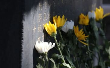 祭奠心得体会6篇