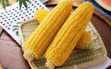 掰玉米教案6篇