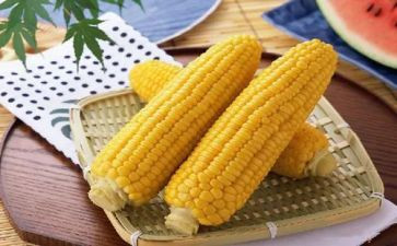 玉米烙的教案5篇