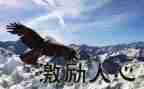 中考激励演讲稿6篇