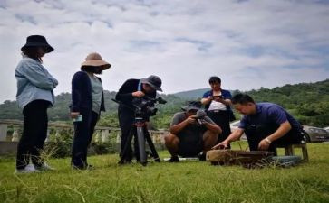 中国新疆之历史纪录片观后感8篇