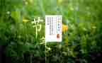 24节气歌的作文7篇