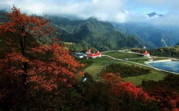 5.1景区工作总结范文5篇