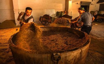 2023酒店策划方案范文6篇