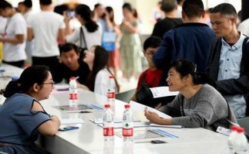 分析就业调查报告6篇
