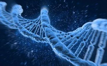 传承红色基因,争做强国少年作文5篇