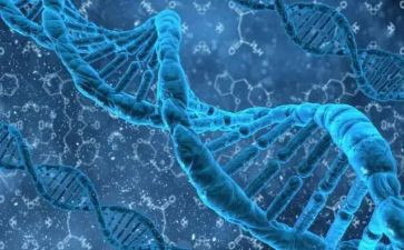 传承红色基因活动主题班会教案6篇