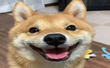 打开心门作文800字7篇