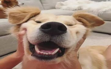 打开心门的作文6篇