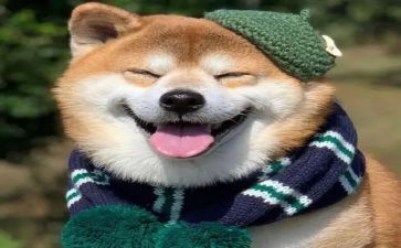 我开心的件事作文7篇
