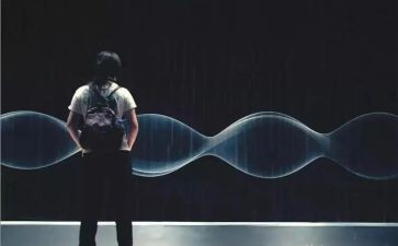 2024我看见作文参考8篇
