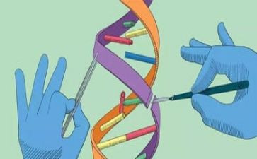 小学科学教学总结范文5篇
