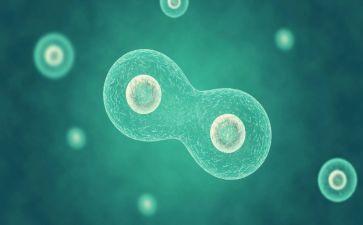 科学教师个人工作计划8篇