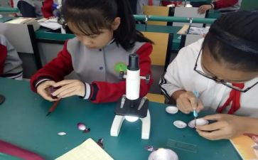 科学课工作计划优秀5篇