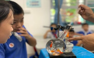 小学科学课教学总结6篇