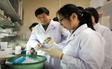 科研简洁工作总结范文精选5篇
