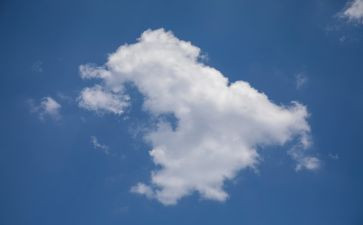 空气弹教案通用5篇