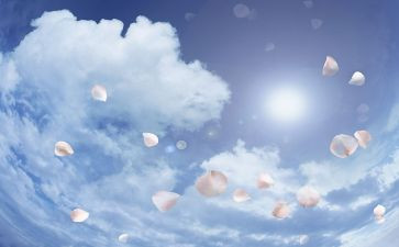 空气弹教案8篇