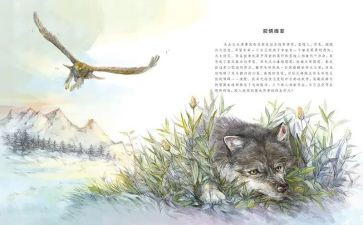 小学《狼王梦》读后感优质5篇