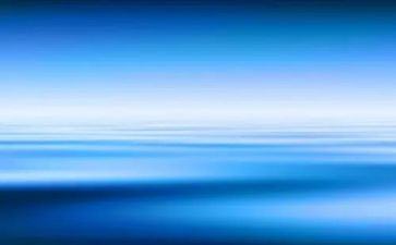 蓝色海豚的读后感优质8篇