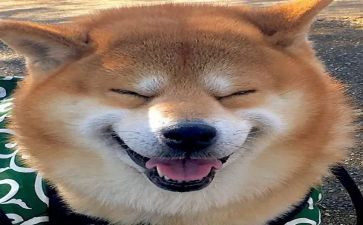 四年级写乐园的作文5篇
