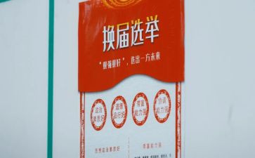 村两委成员述职报告8篇