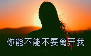 《从未离开》作文8篇
