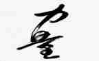 关于团结的力量的作文600字6篇