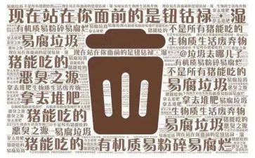 大班社会教案垃圾分类教案最新6篇