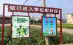 局捡垃圾活动总结参考8篇
