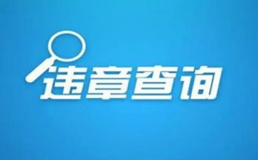 安全生产零违章活动总结6篇