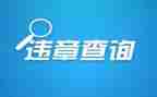 安全生产零违章活动总结6篇