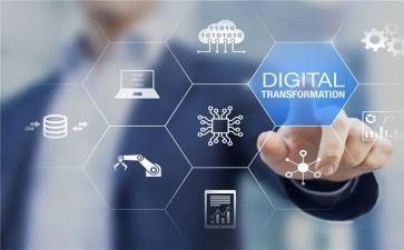 小班教案社会领域教案5篇