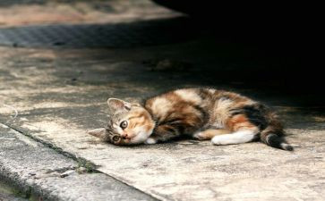 ?w流浪地球读后感8篇