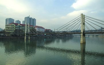 柳林风声的读后感7篇