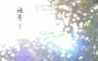 物流年度工作总结个人2023范文7篇