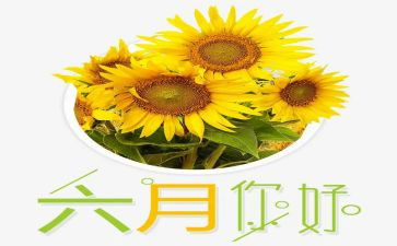 幼儿中班六月份工作总结5篇