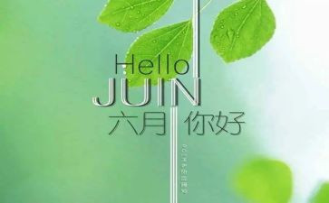 六月的工作总结8篇