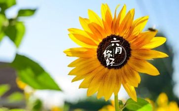 幼儿园月工作计划六月6篇